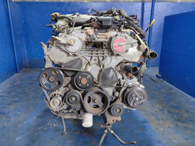 Двигатель Ниссан Эльгранд в Калуге 437558
